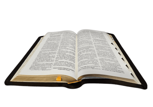 Sveto pismo - Biblija sa indeksom (međuformat, koža) - Slika 2